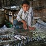 Cambodia - Siem Reap -  boy selling fish in market