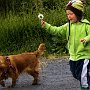Iceland - A boy and his dog 