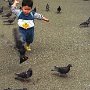 Japan - Tokyo Boy chasing pigeons in Ueno Park.
