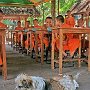 Thailand -Chiang mai -  Student monks enjoying dog.