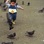 Tokyo, Japan. Boy chasing pidgeons in Ueno Park.