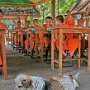 Chiang Mai, Thailand.  Student monks enjoying dog.